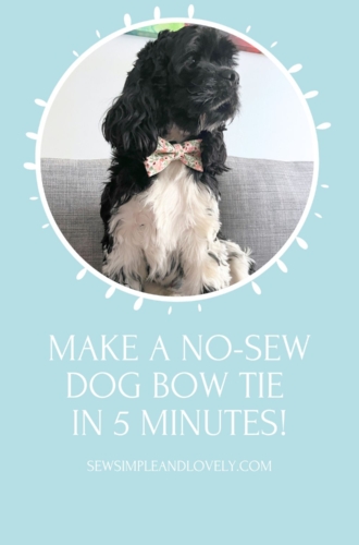 How to Make a No-Sew Dog Bow Tie in Just 5 Minutes!