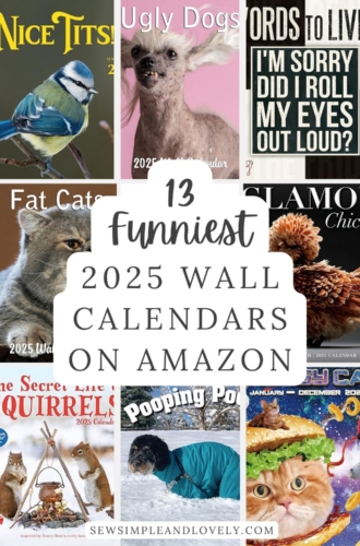 13 Funniest 2025 Wall Calendars on Amazon